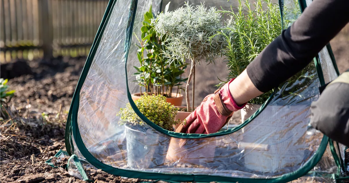 Den Garten winterfest machen Schritt für Schritt Huplant