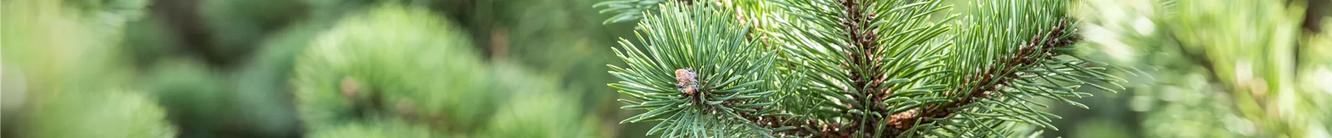 GS643569.jpg GS643569.jpg