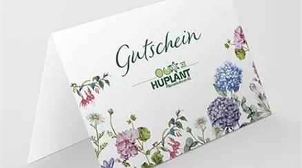 gutschein-klein__400.png