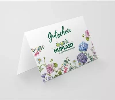 Gutschein print@home