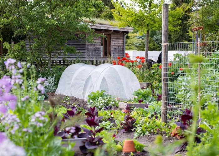 Die optimale Fruchtfolge für eine grössere Ernte Die optimale Fruchtfolge für eine grössere Ernte