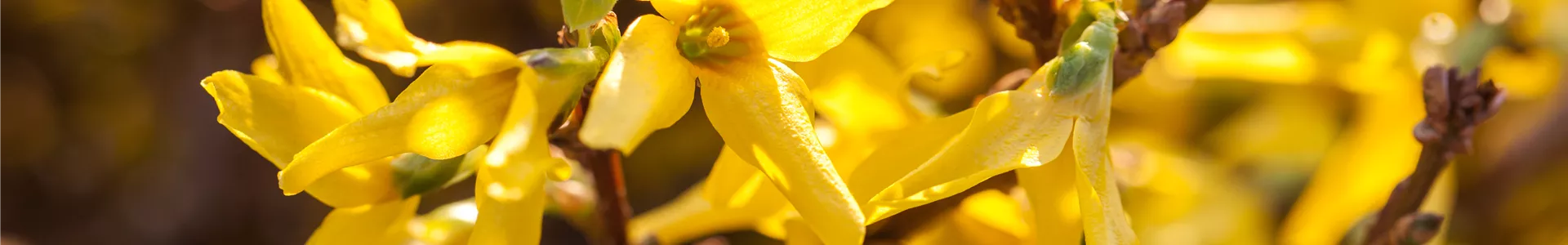 GS510109.jpg GS510109.jpg