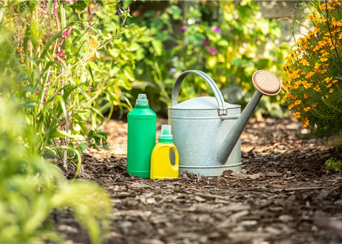 Düngen im Sommer für rundum gesunde Gartenpflanzen Düngen im Sommer für rundum gesunde Gartenpflanzen