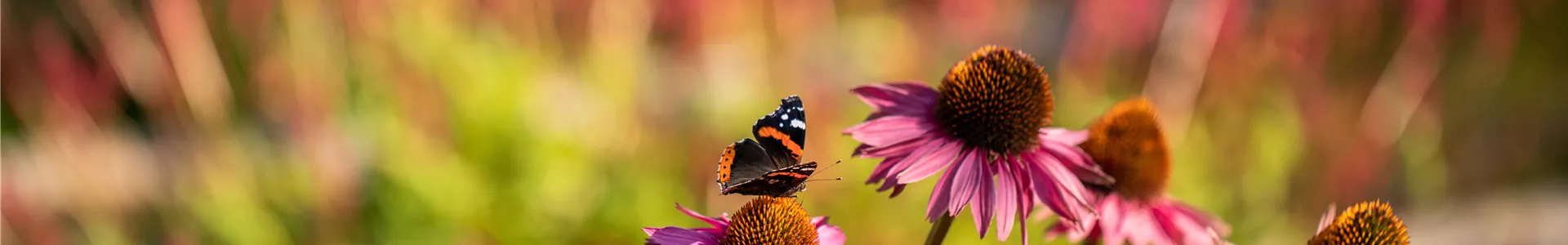 GS671852.jpg GS671852.jpg