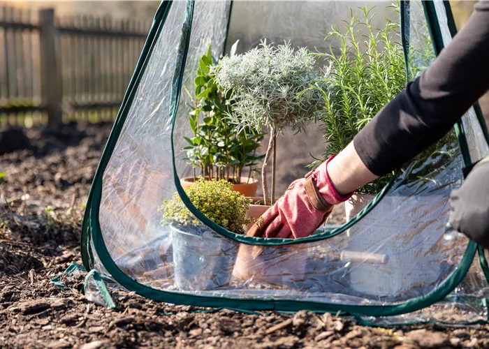 Den Garten winterfest machen – Schritt für Schritt Den Garten winterfest machen – Schritt für Schritt