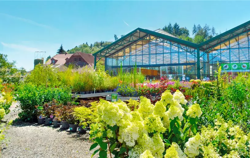 Gartencenter_Huplant_Baumschule5.jpg
