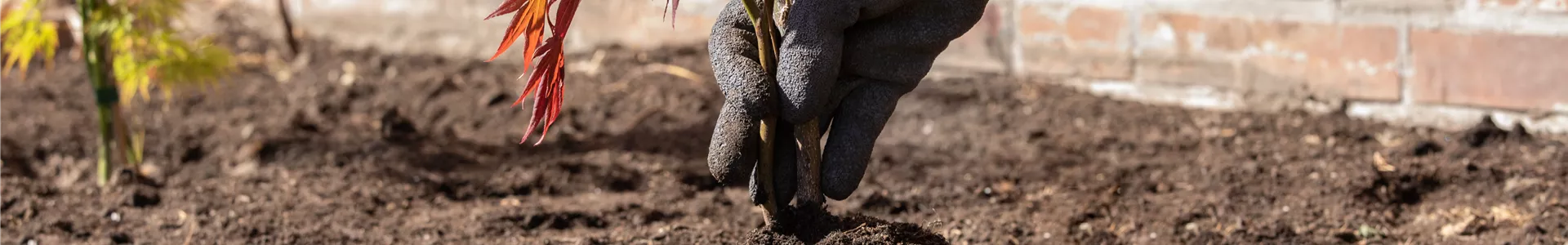 GS659482.jpg GS659482.jpg