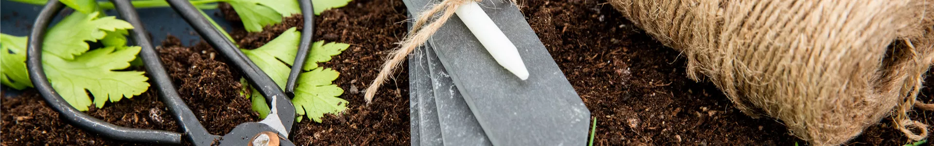 GS661962.jpg GS661962.jpg