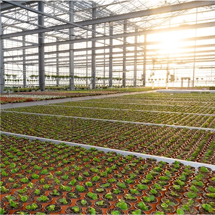 Bio-Produktion