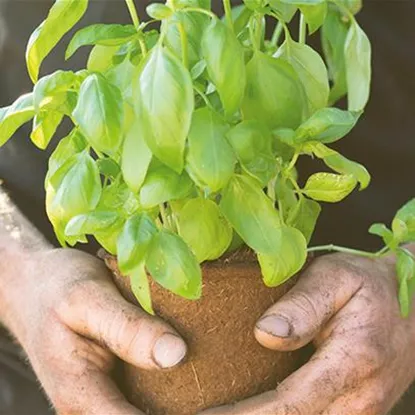 Zukunftstag im Gartencenter Huplant! Donnerstag, am Donnerstag, 12. November