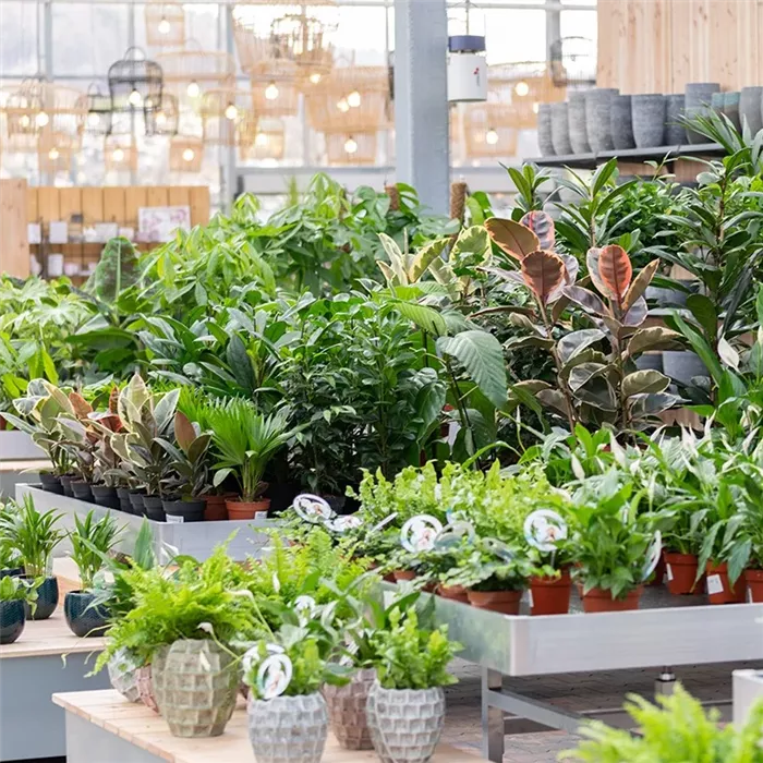 Gartencenter Gartencenter