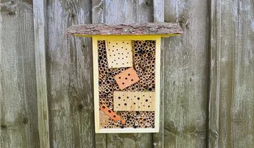 28.6.2025 - Nisthilfen für Wildbienen bauen