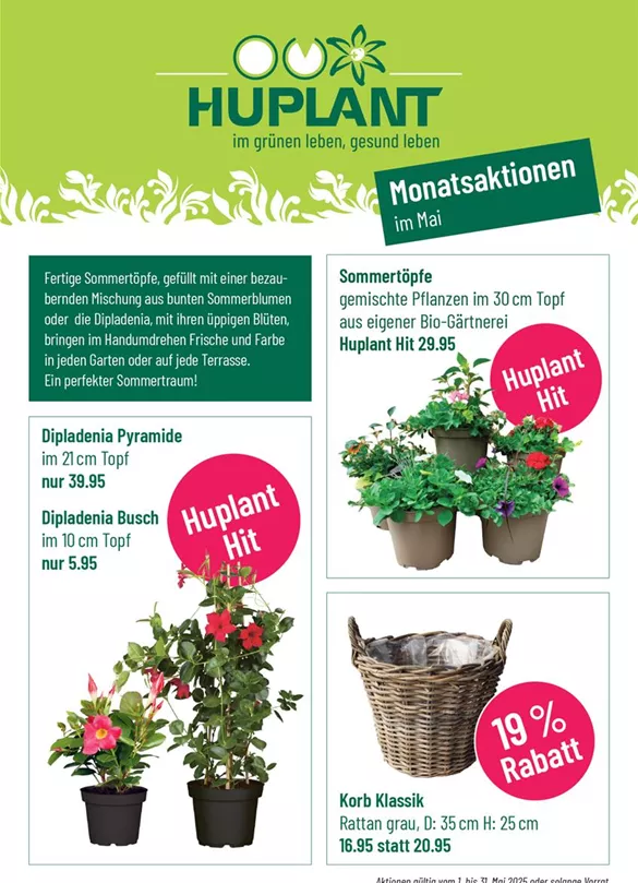 Mai_Huplant.jpg