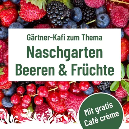 Gärtner Kafi, Mittwoch, 8. Juli um 9.30 Uhr im Florina
