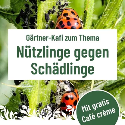 Gärtner Kafi, Dienstag, 21. Juli um 9.30 Uhr im Florina 