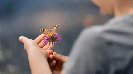 AdobeStock_637555798.jpeg