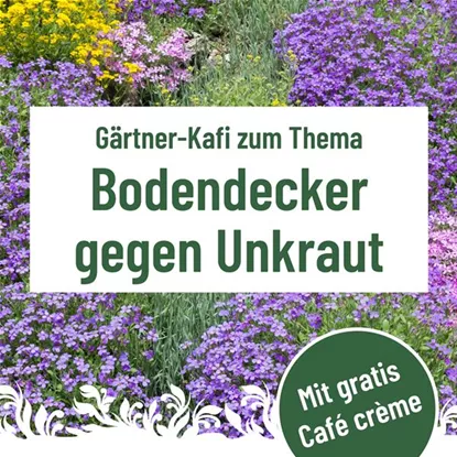 Gärtner Kafi, Dienstag, 18. August um 9.30 Uhr im Florina