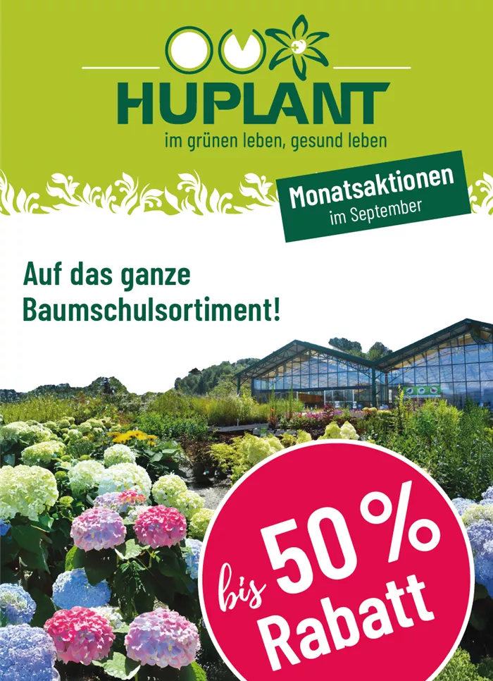 Bildschirmfoto 2025-08-29 um 16.37.42.png