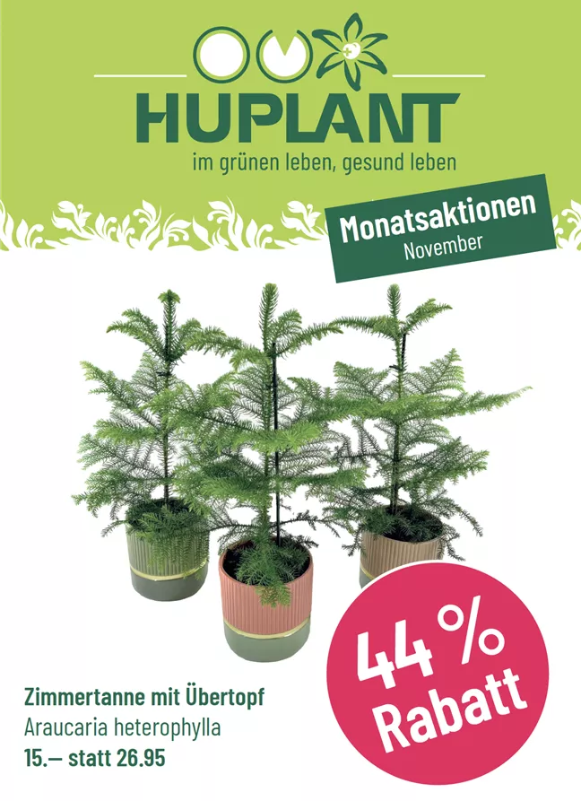 Bildschirmfoto 2025-10-31 um 17.37.34.png