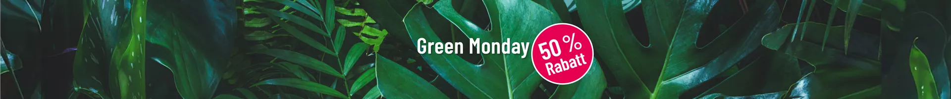 greenmonday3.jpg