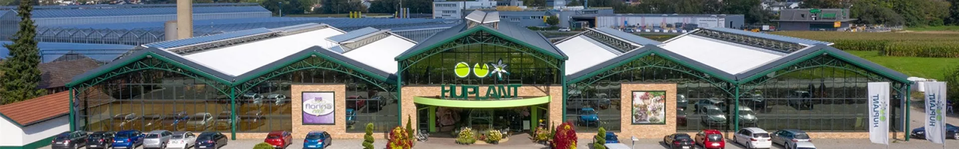 Ashampoo_Snap_Montag, 13. November 2023_12h36m43s_006_.png Ashampoo_Snap_Montag, 13. November 2023_12h36m43s_006_.png