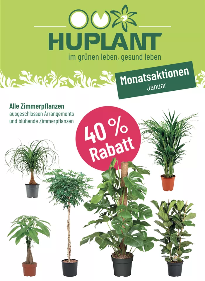 Bildschirmfoto 2026-01-01 um 13.34.37.png