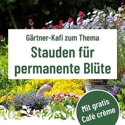 Gärtner Kafi, Mittwoch, 28. Januar um 9.30 Uhr im Florina 