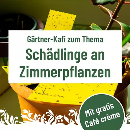 Gärtner Kafi, Dienstag, 10. Februar um 9.30 Uhr im Florina