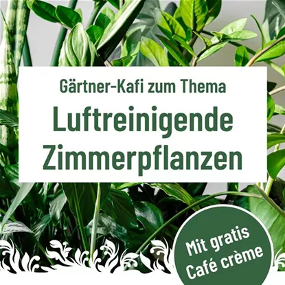 Gärtner Kafi, Montag, 16. Februar um 9.30 Uhr im Florina