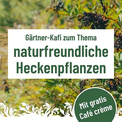 Gärtner Kafi, Mittwoch, 21. Oktober um 9.30 Uhr im Florina