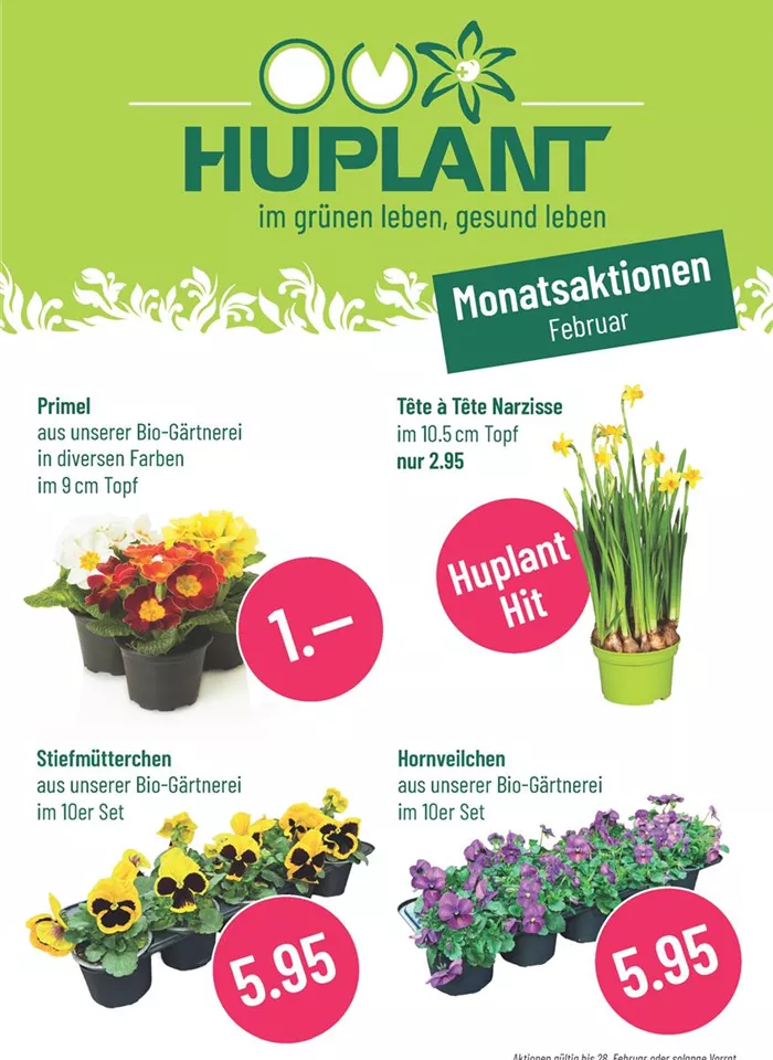 Monatsaktionen_Februar_2026_web_Seite_01.jpg Monatsaktionen_Februar_2026_web_Seite_01.jpg