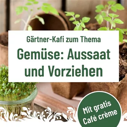 Gärtner Kafi, Dienstag, 3. März um 9.30 Uhr im Florina 