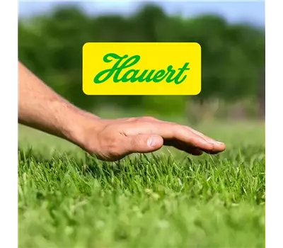 18. April, 10.00 - 11.00 Uhr, Rasenkurs mit Fachperson von Hauert (gratis)