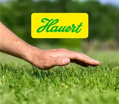 18. April, 10.00 - 11.00 Uhr, Rasenkurs mit Fachperson von Hauert (gratis)