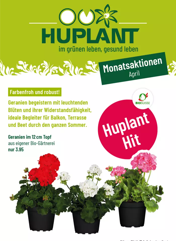 Bildschirmfoto 2026-03-31 um 18.40.08.png