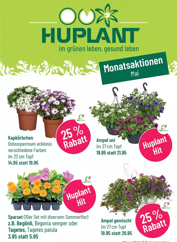 Monatsaktinen_Mai.jpg