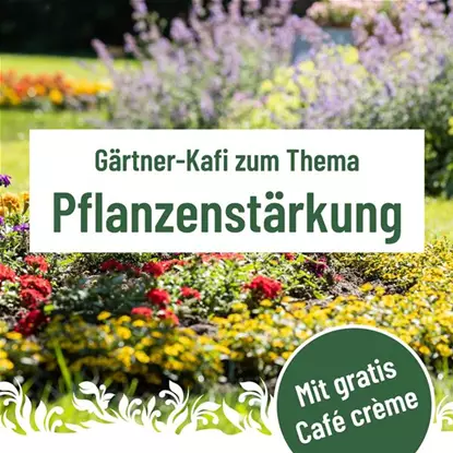 Gärtner Kafi, Dienstag, 15. September um 9.30 Uhr im Florina 