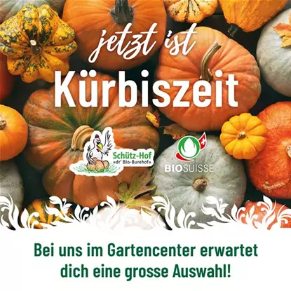 Kürbisverkauf – Speise- und Zierkürbisse