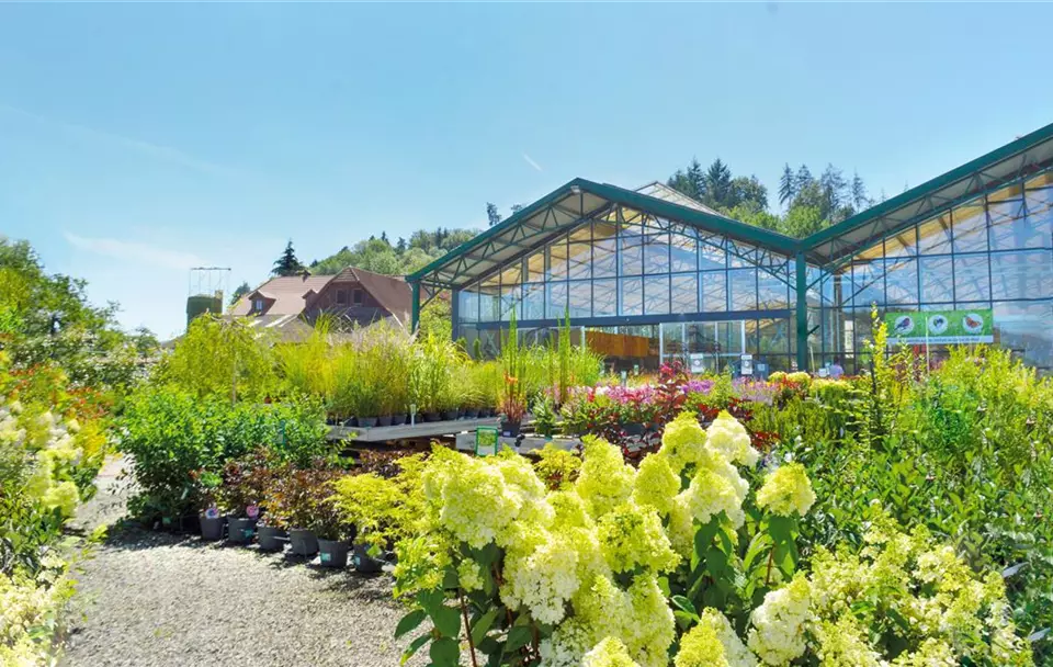 Gartencenter_Huplant_Baumschule2.jpg