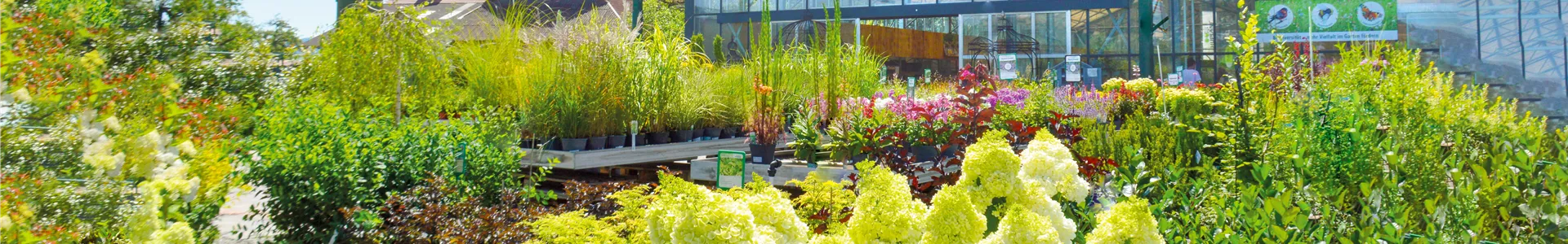 Gartencenter_Huplant_Baumschule_Header.jpg Gartencenter_Huplant_Baumschule_Header.jpg