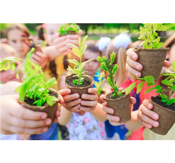 Events im Gartencenter