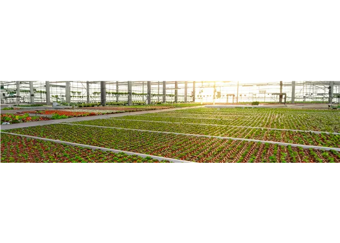 Bio-Produktion